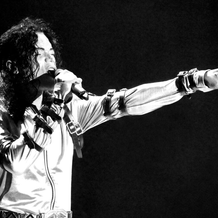 ~Michael Jackson~ The Legacy Tour Starring William Hall