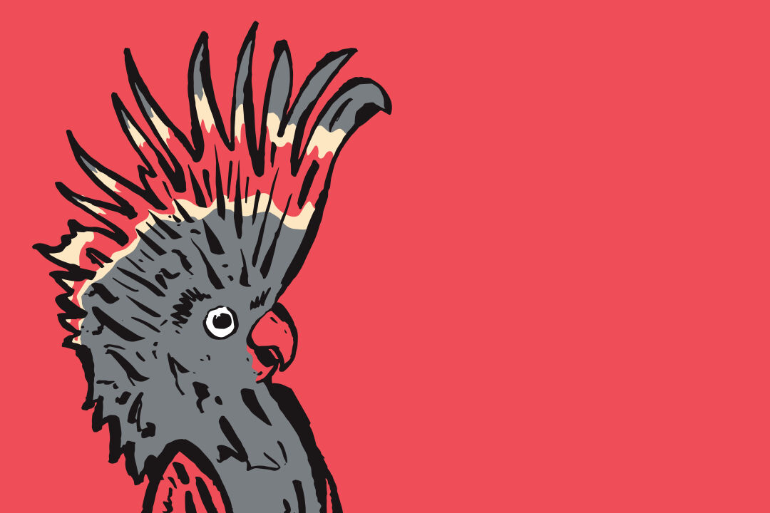 ~Melbourne International~ Comedy Festival Roadshow