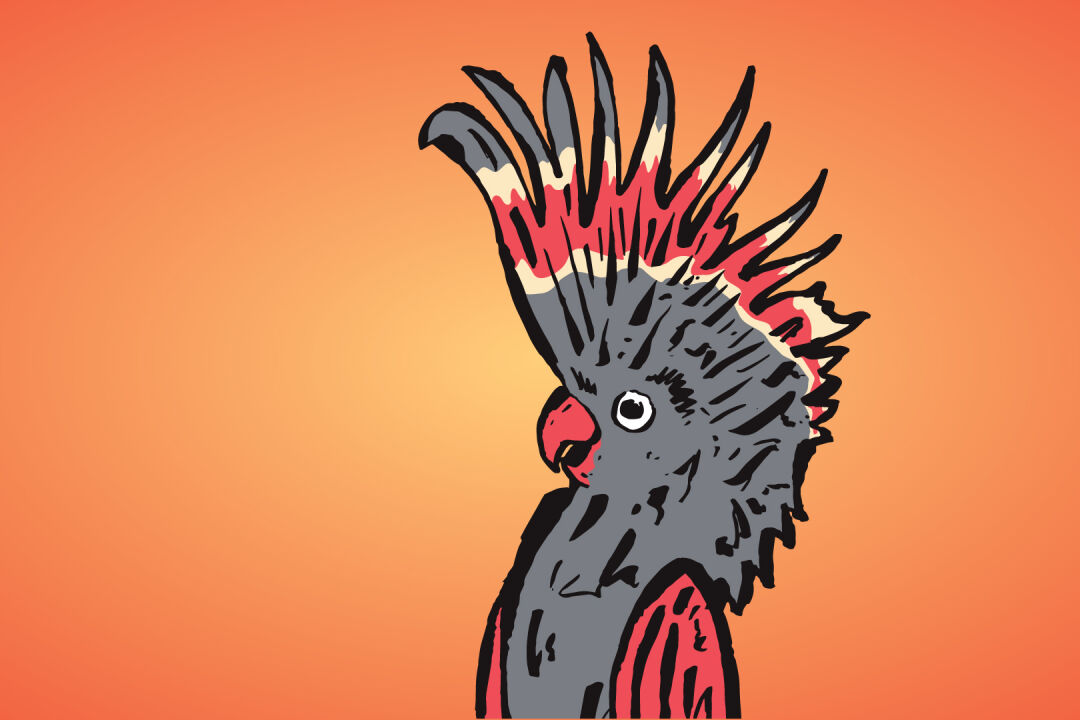 Melbourne Comedy ~Festival Roadshow~