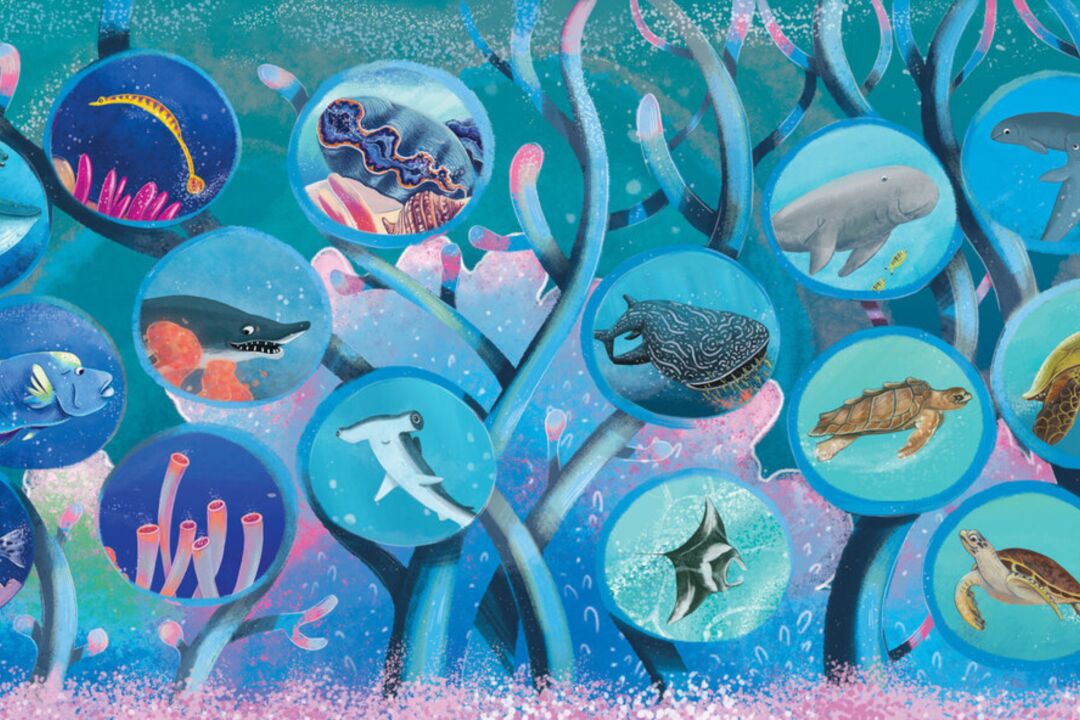 One ~Remarkable Reef~