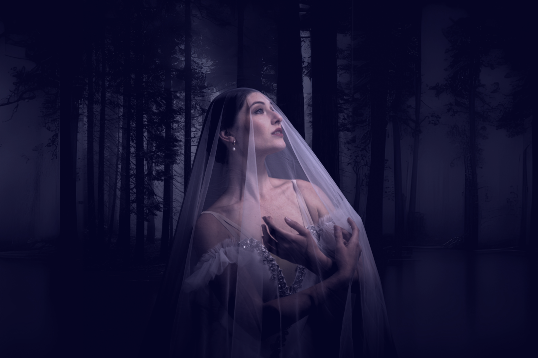~Giselle~