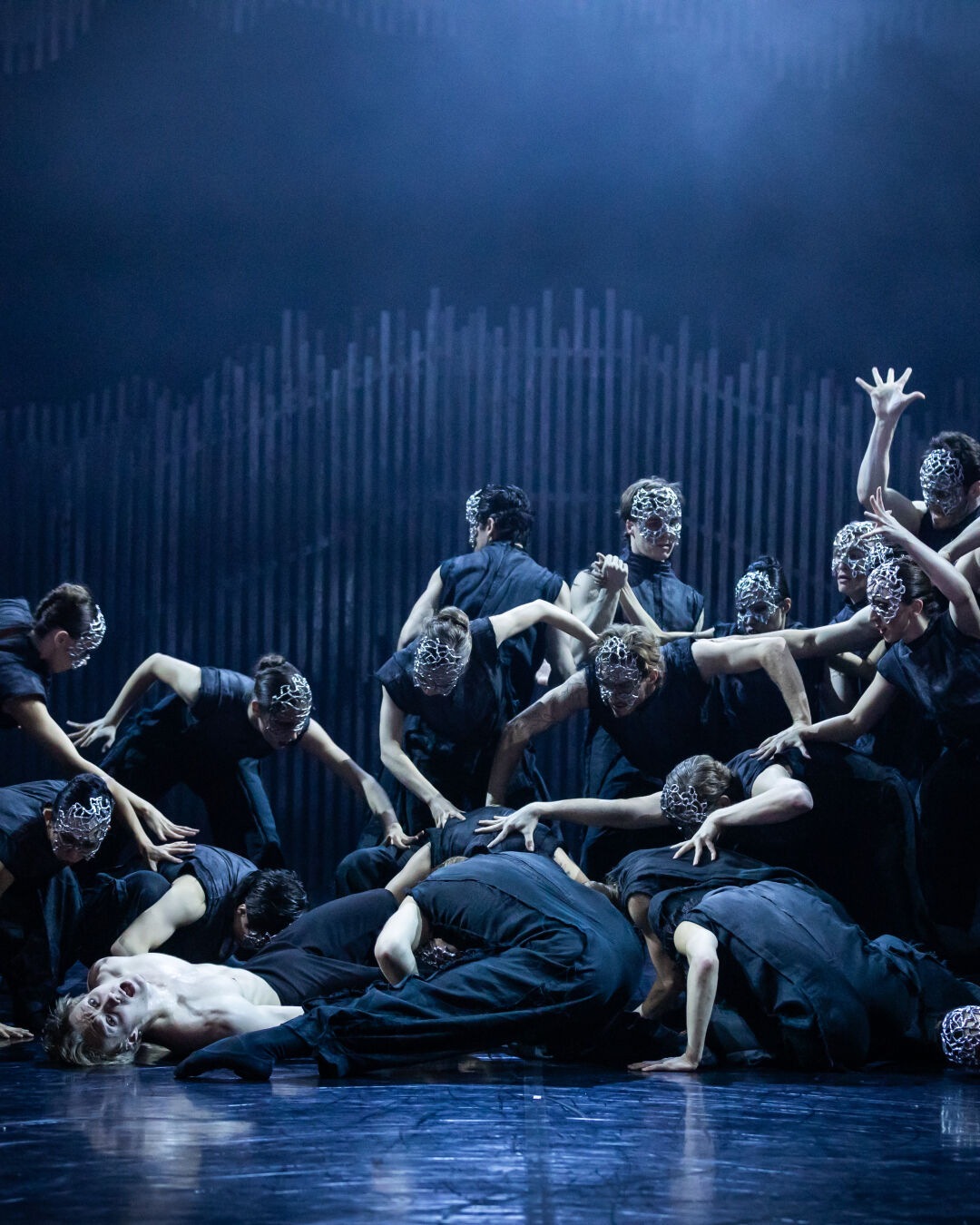 Artists of Queensland Ballet. Photography David Kelly.