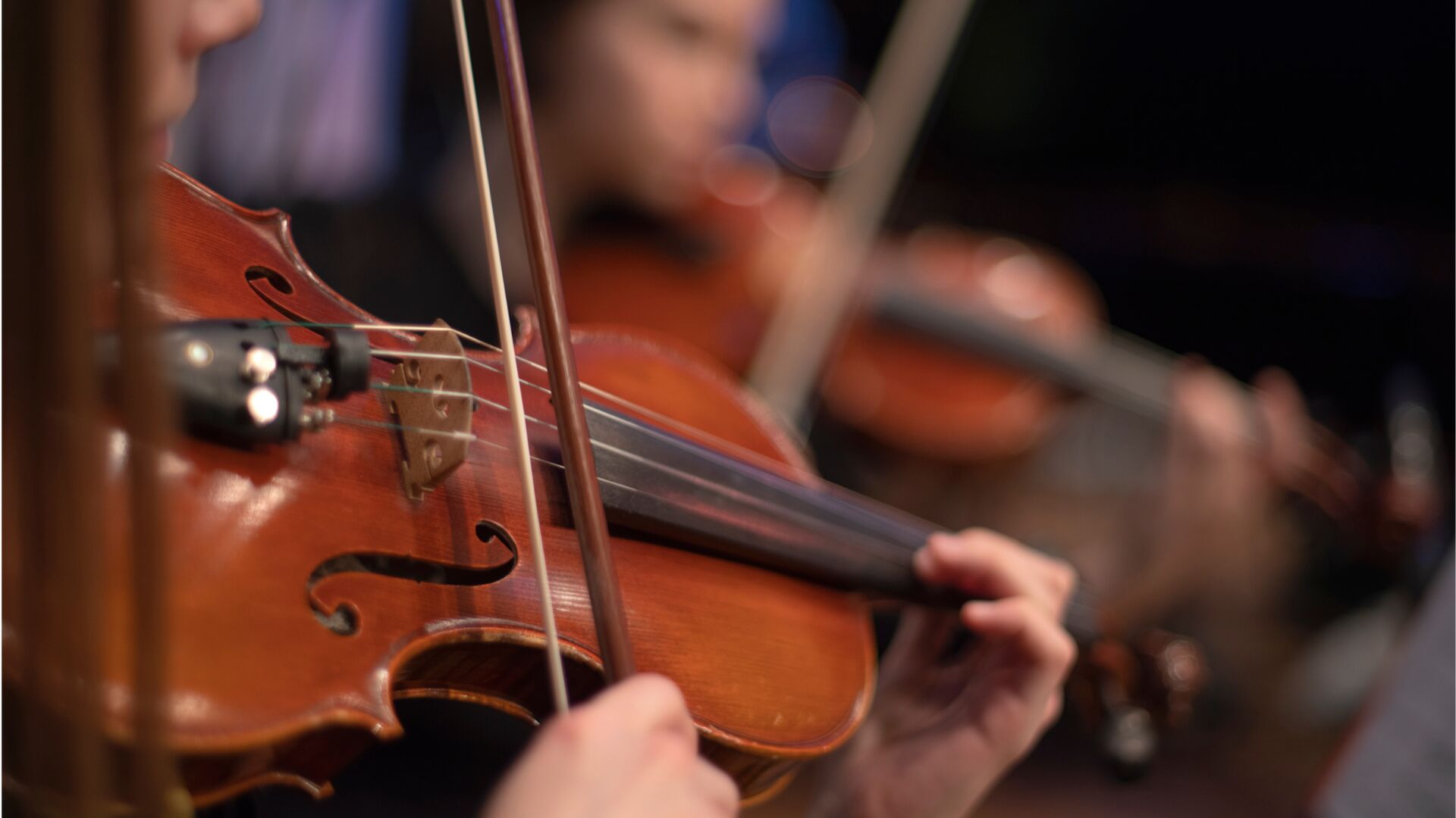 ~Camerata:~  Year 6 & 7 Strings Session