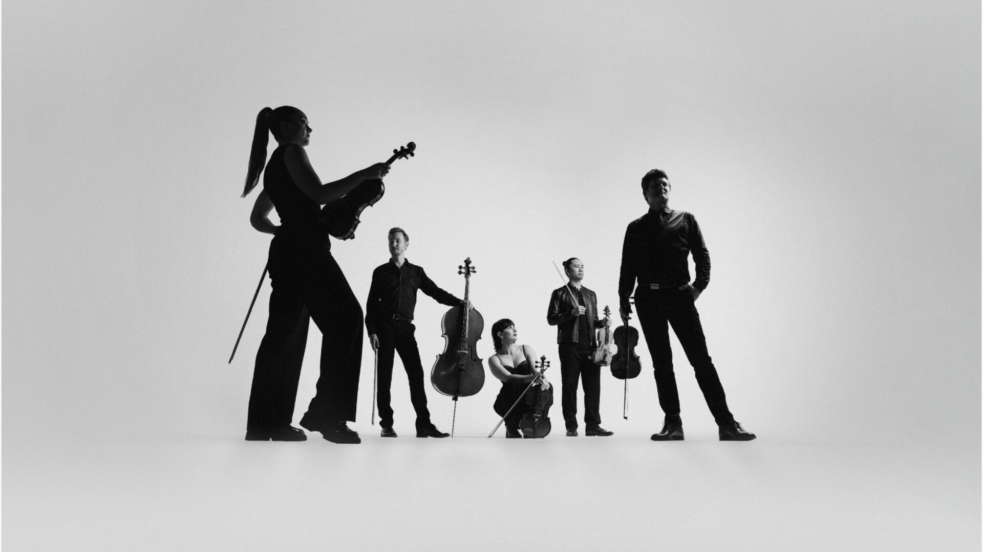 Camerata:  ~Revolution Remixed~