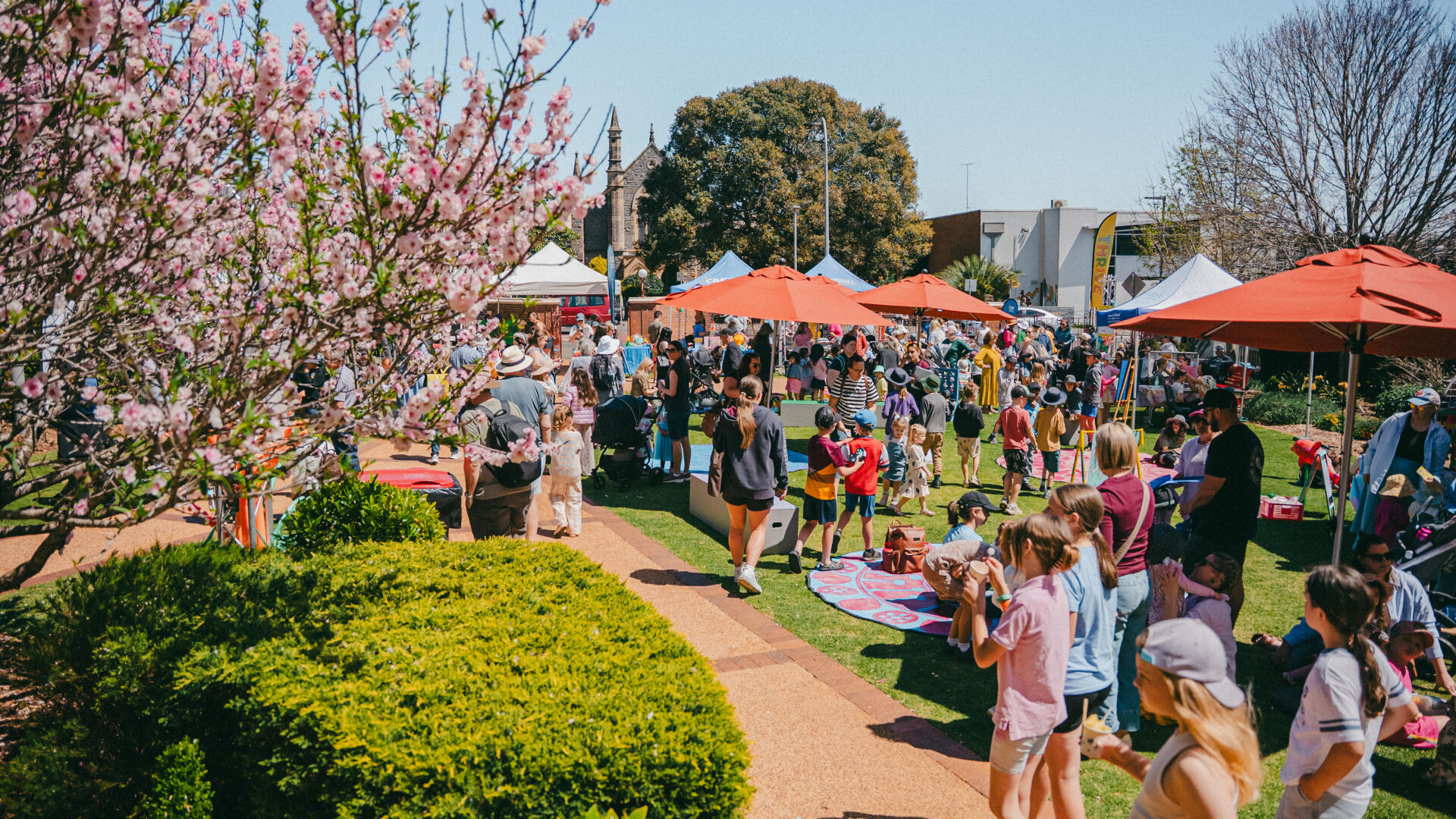 THRIVE Festival Set for Blast Off: ~The Empire Lauches 2026 Program~