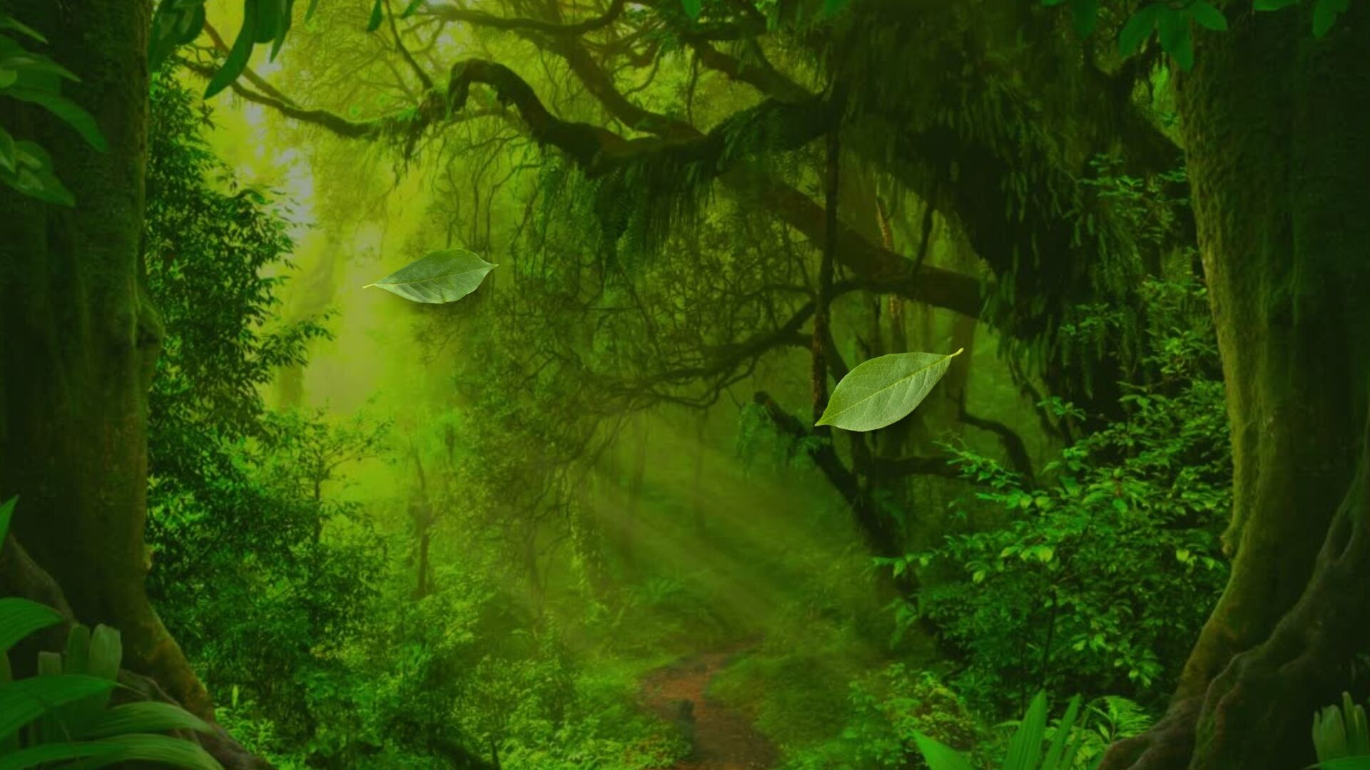 Disney's ~The Jungle Book~