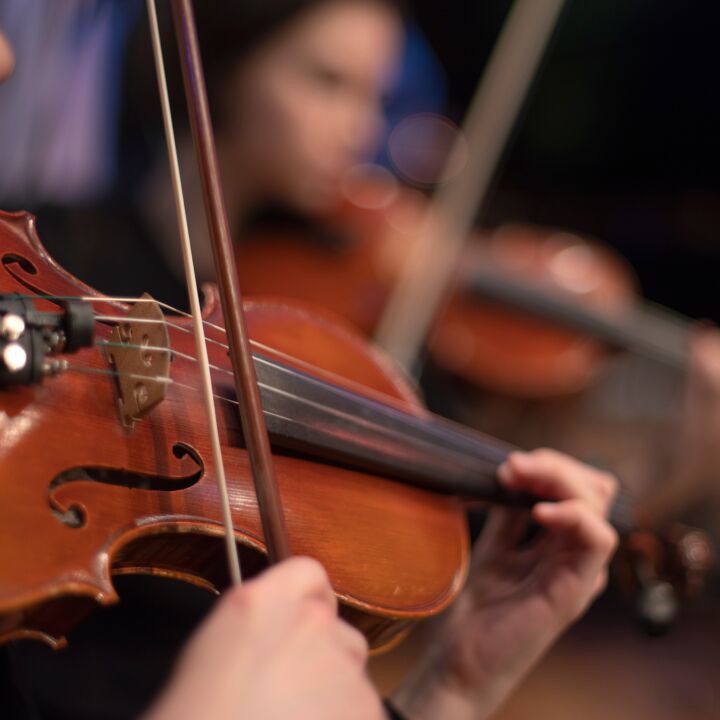 Camerata Strings ~Workshop~