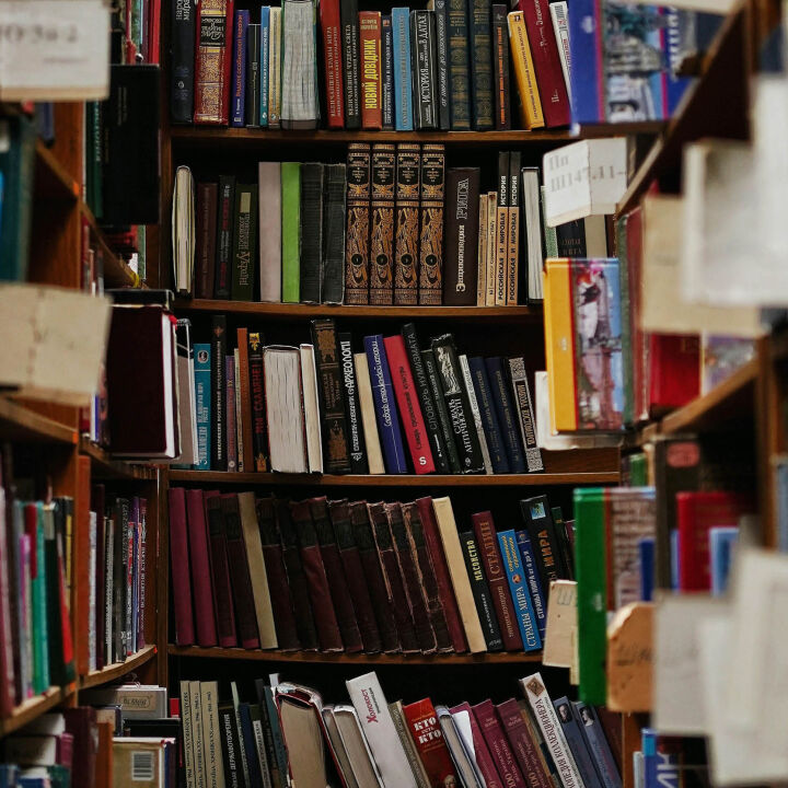 Every Novel you Ever Read in High School in 30 minutes &  ~A Midsummer Night's Dream - Reimagined~