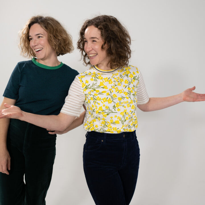 Teeny Tiny Stevies: ~ Brain Fart Regional Tour ~