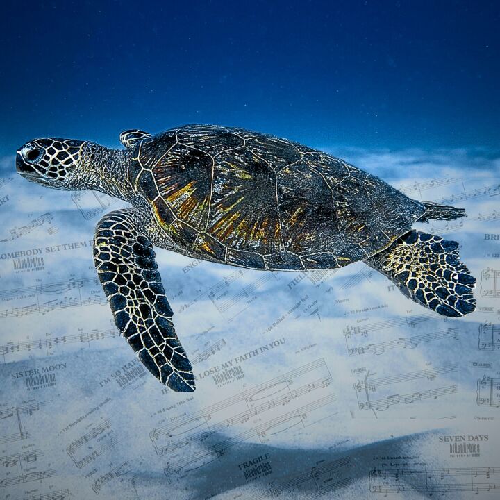 Blue Turtles: ~The Music of Sting~