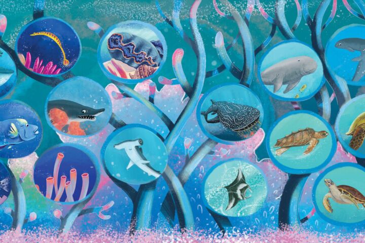 One Remarkable Reef