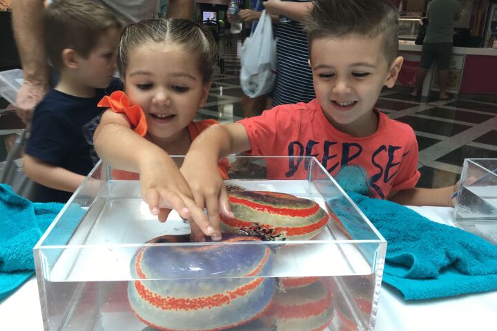 Ocean Life Education’s Interactive Marine Display