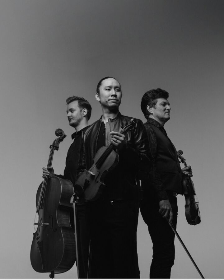 Camerata:  ~Old. New. Borrowed. Blue.~