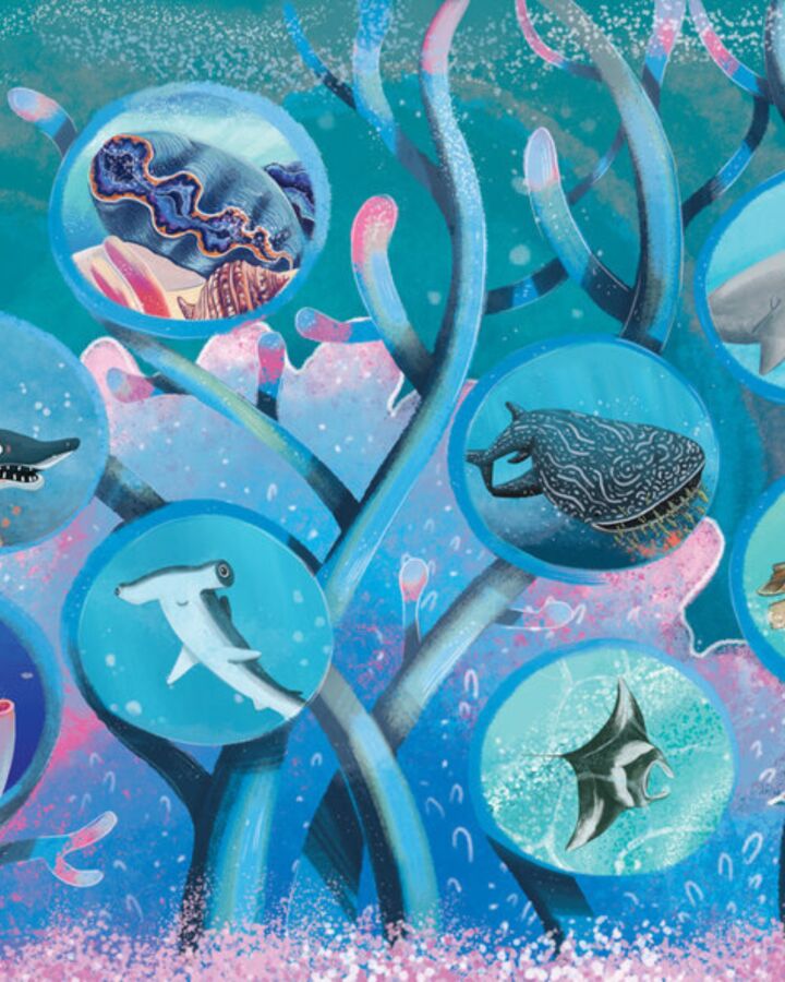 One ~Remarkable Reef~
