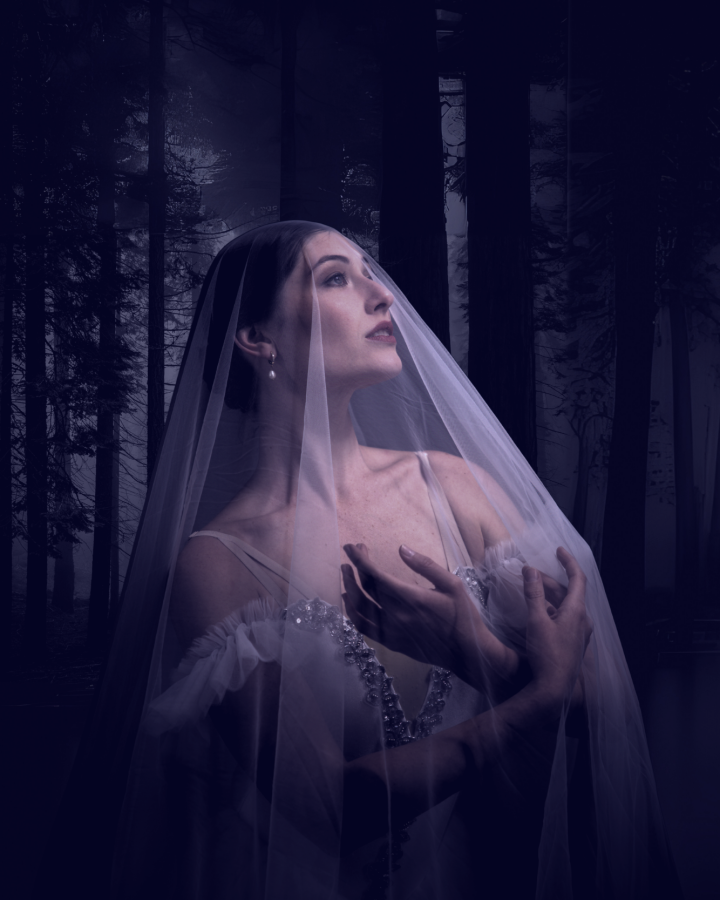 ~Giselle~